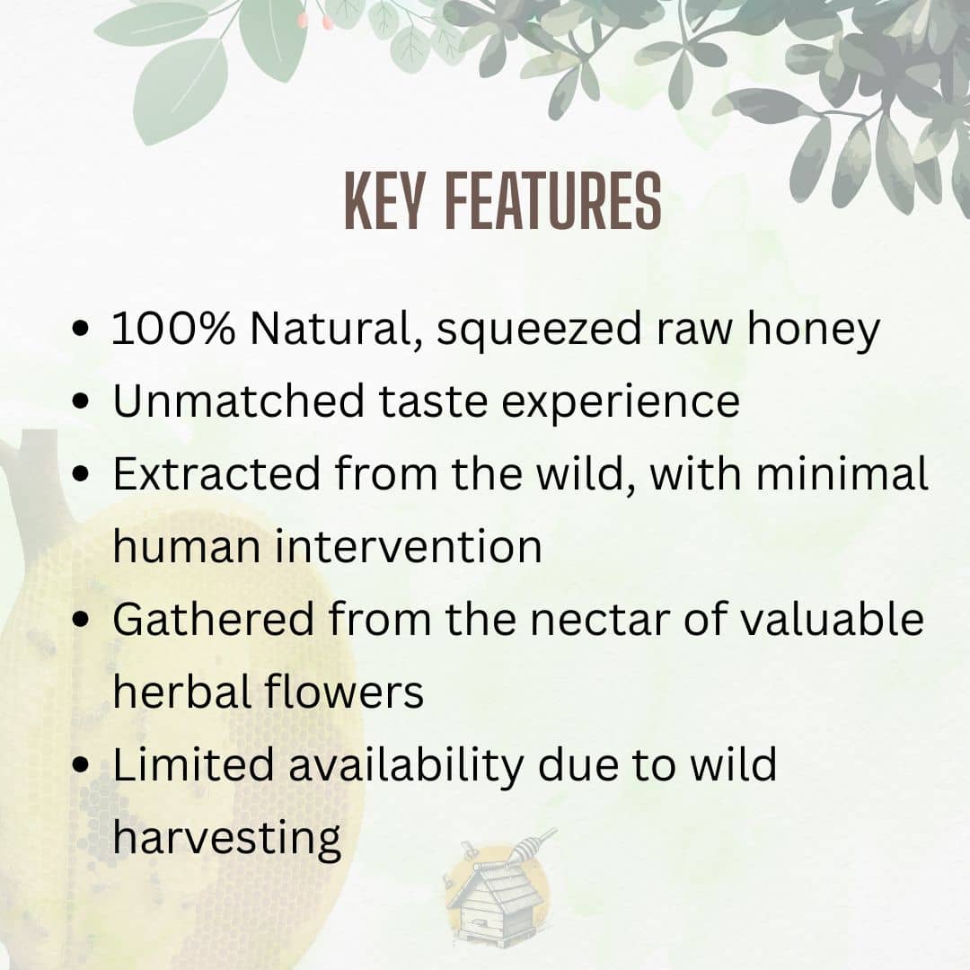 Raw | Forest Kombu Honey